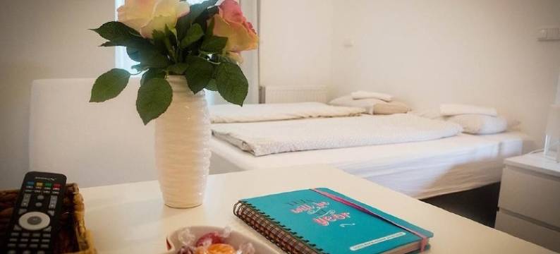 贝塔里尔S22号公寓(Hauptbahnhof)图片