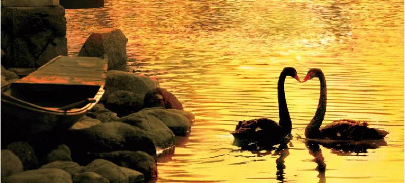 芭东小镇温泉别墅图片