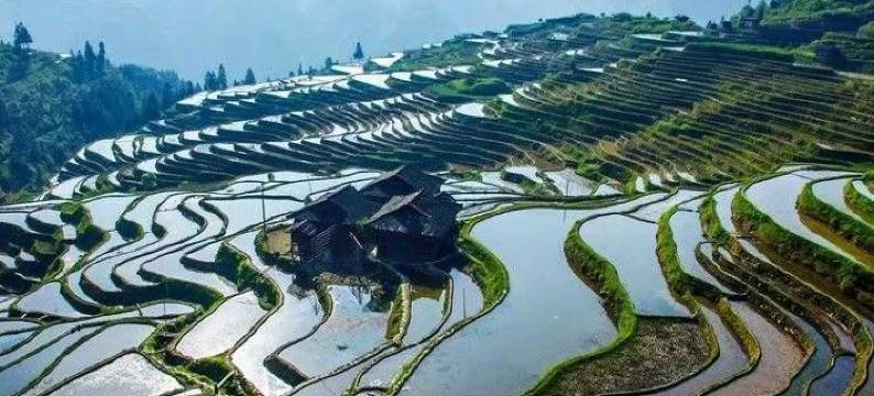 从江加榜梯田苗乡缘精品民宿图片