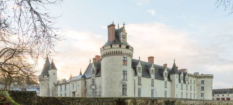 迪赛城堡-原创酒店系列(Château de Dissay, The Originals Collection)图片