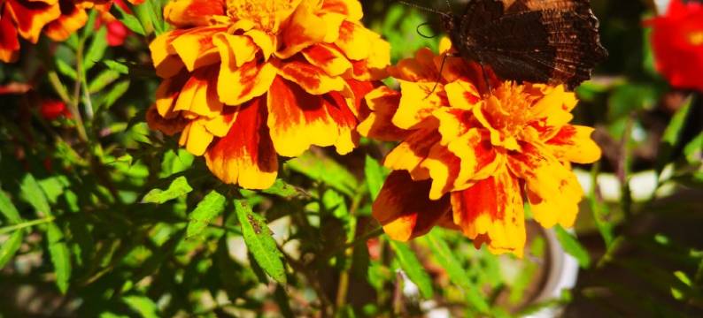 五台山峰回路转酒店(五爷庙店)图片