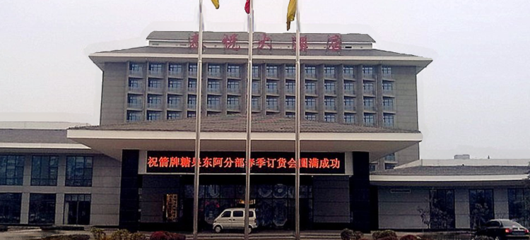 东阿泰悦大酒店图片