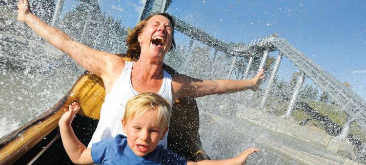 希尔顿Homewood套房-卡尔加里机场(Homewood Suites by Hilton Calgary-Airport)图片