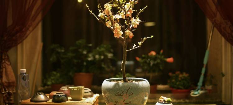 库布齐沙漠精品民宿(政府路分店)图片