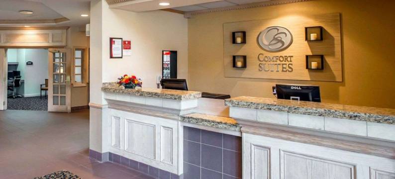 南本德圣母院大学区舒适套房酒店(Comfort Suites University Area Notre Dame-South Bend)图片