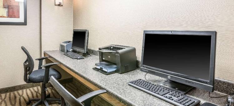 舒适酒店(Comfort Inn)图片