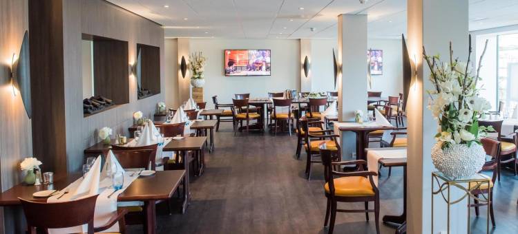 祖特尔梅尔-海牙金色郁金香酒店(Golden Tulip Zoetermeer - Den Haag)图片