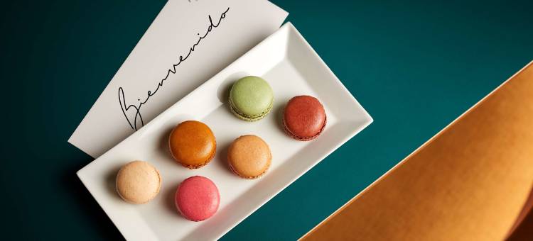 马德里阿隆索马丁内斯阿瓦尼酒店(Avani Alonso Martinez Madrid Hotel)图片