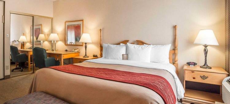盐湖城机场福朋喜来登酒店(Four Points by Sheraton Salt Lake City Airport)图片