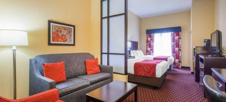 舒适套房酒店(Comfort Suites)图片