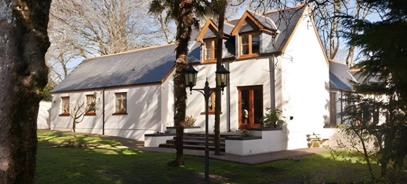 红色小公鸡住宿温泉酒店(Little Red Rooster Rest and Spa)图片