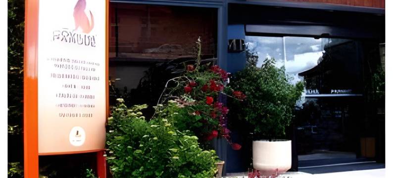 运动酒店 - 附健身房及水疗中心(Sport Hotel Gym + Spa)图片