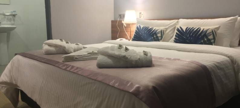 盖亚95号酒店(Hotel Gaia 95)图片