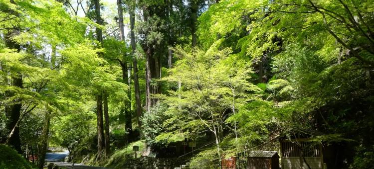 东横INN琵琶湖线南草津站西口(Toyoko Inn Biwako Sen Minami Kusatsu Eki Nishi Guchi)图片
