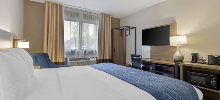 赫恩登 - 里斯顿舒适酒店(Comfort Inn Herndon-Reston)图片