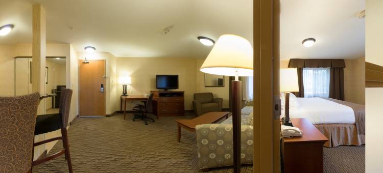 Holiday Inn 斯廷博特斯普林斯(Holiday Inn Steamboat Springs)图片