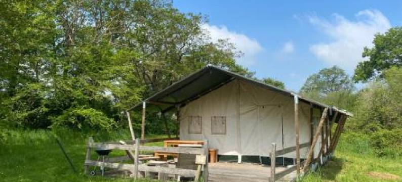 帕绍的果实酒店(B&B les Fruits du Passau)图片