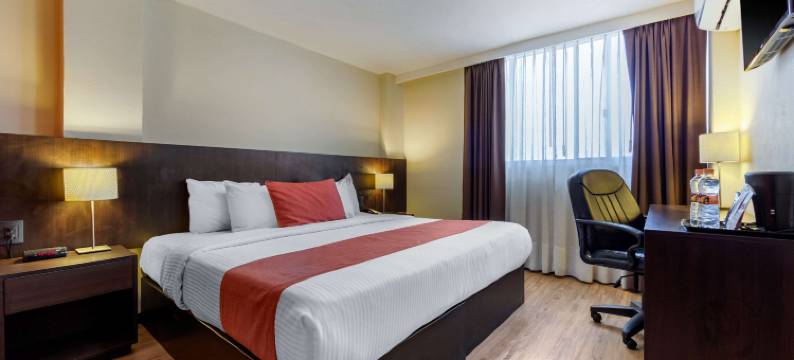 圣路易斯波托西舒适酒店(Comfort Inn San Luis Potosi)图片