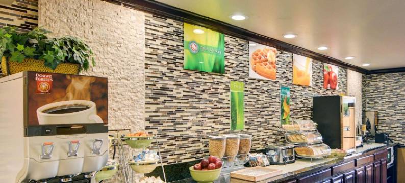 DFW机场北凯艺酒店(Quality Inn DFW Airport North)图片