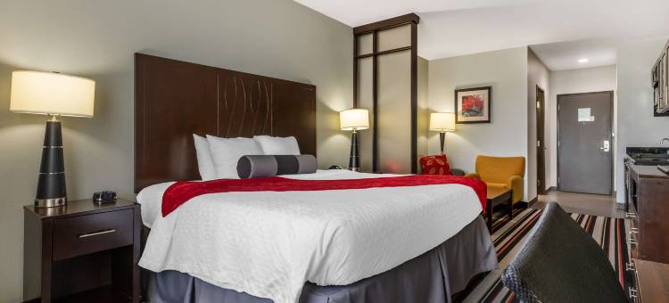 贝斯特韦斯特优质考维塔斯第一高级酒店(Best Western Plus Cowetas 1st Hotel)图片