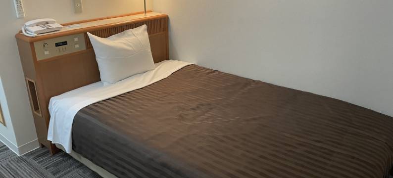 皇家旅馆-车站广场(Royal Inn Station Plaza)图片