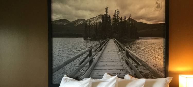 斯普鲁斯格罗夫温德姆速8酒店(Super 8 by Wyndham Spruce Grove)图片