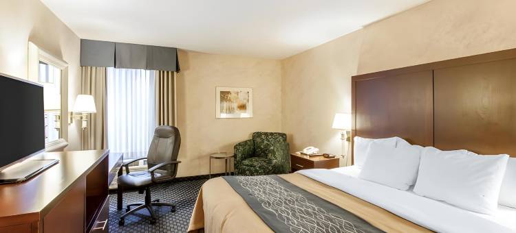 舒适酒店及套房-锡塔克机场(Comfort Inn & Suites Sea-Tac Airport)图片