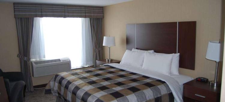 宾顿戴斯酒店(Days Inn by Wyndham Brampton)图片