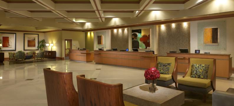 奥兰多太阳公园希尔顿分时度假俱乐部酒店(Hilton Grand Vacations Club Parc Soleil Orlando)图片