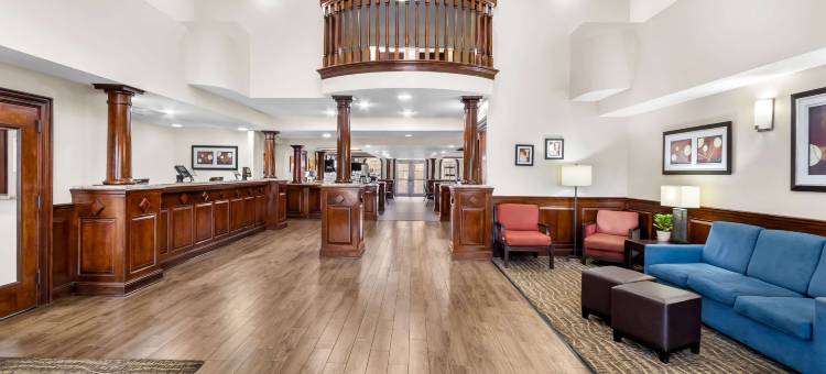 舒适套房酒店(Comfort Suites)图片