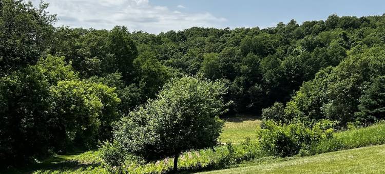 Scenic Views on 20 Acres! the Family Cabin Awaits. Sleeps 10图片