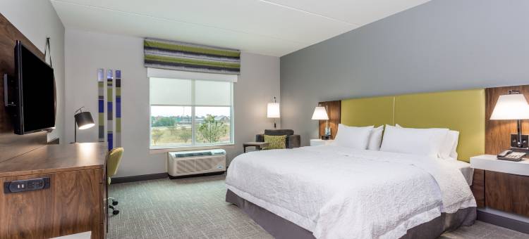 萨拉兰莫比尔希尔顿欢朋套房酒店(Hampton Inn & Suites Saraland Mobile)图片