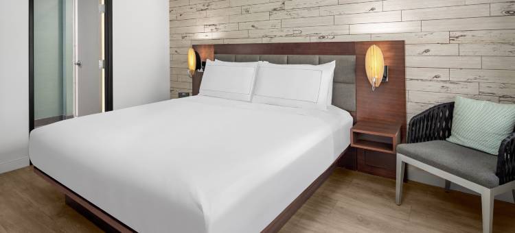 芬恩酒店，希尔顿启缤精选(The Fin Hotel, Tapestry Collection by Hilton)图片