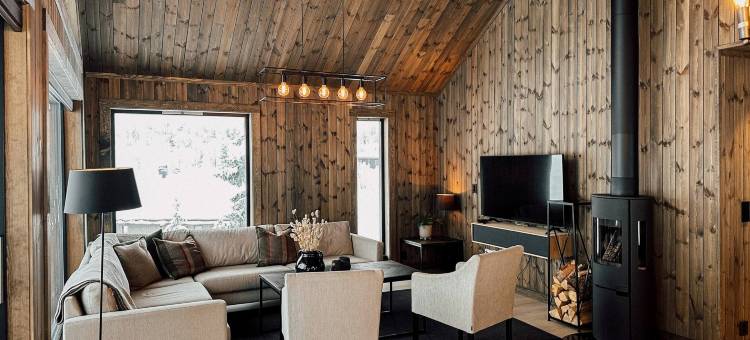 Modern Mountain Cabin - Sauna - 5 Bedrooms - Sleeps for 10图片