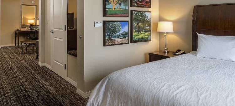 圣路易斯机场希尔顿花园酒店(Hilton Garden Inn St. Louis Airport)图片