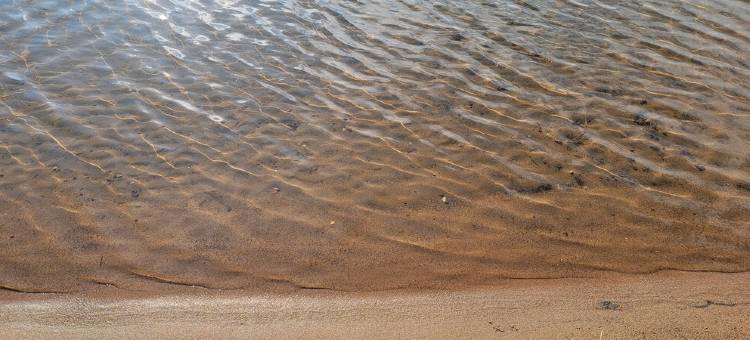 Lavish Renovated Lake Home on Shamineau - Highly Rated!图片