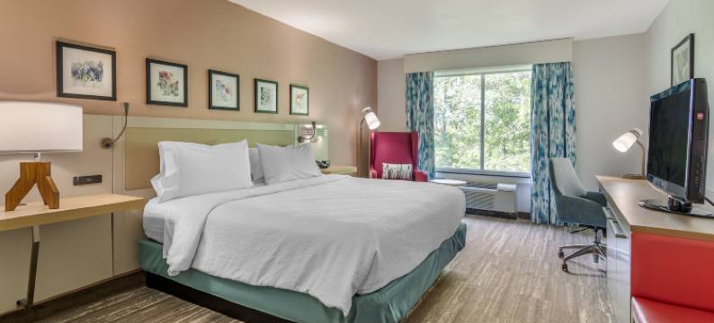 希尔顿花园酒店-亚特兰大东北/格威内特舒格洛夫(Hilton Garden Inn Atlanta NE Gwinnett Sugar Loaf)图片