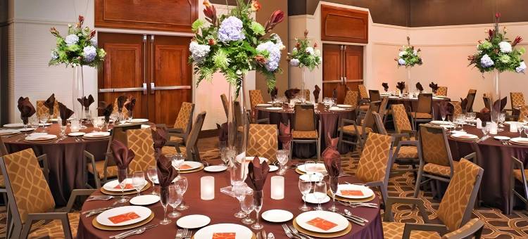 底特律大都会机场喜来登酒店(Sheraton Detroit Metro Airport)图片