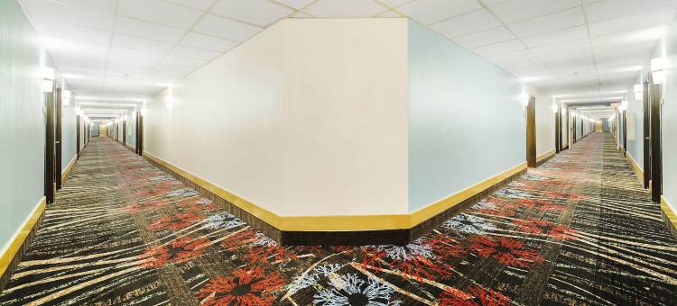 曼西呗盟套房酒店-近波尔州立大学(Baymont by Wyndham Muncie Near Ball State University)图片