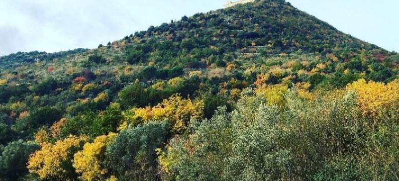 帕里尼民宿(B&B Parini)图片