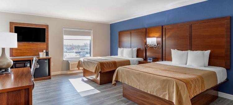 圣路易斯舒适套房酒店-日落山(Comfort Suites St. Louis - Sunset Hills)图片