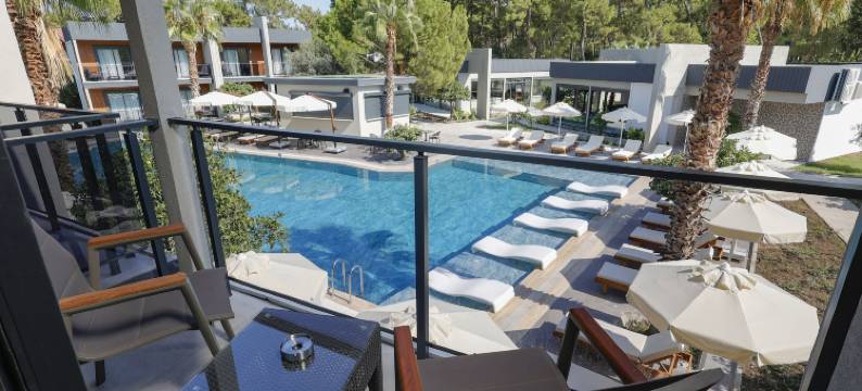 森林里的酒店(Forest In Hotel)图片