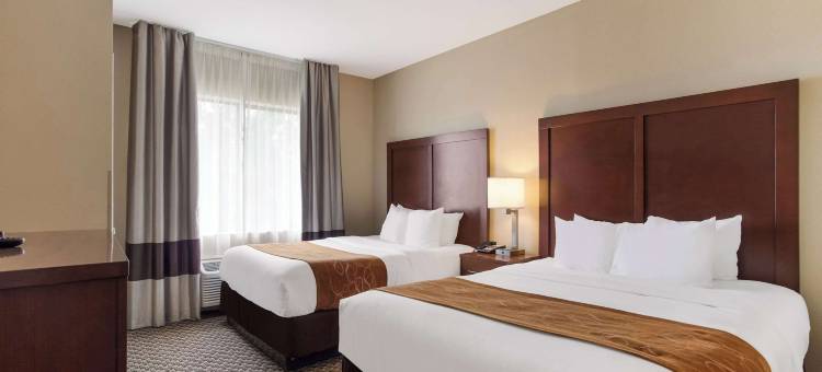 北莫比尔舒适套房酒店(Comfort Suites North Mobile)图片