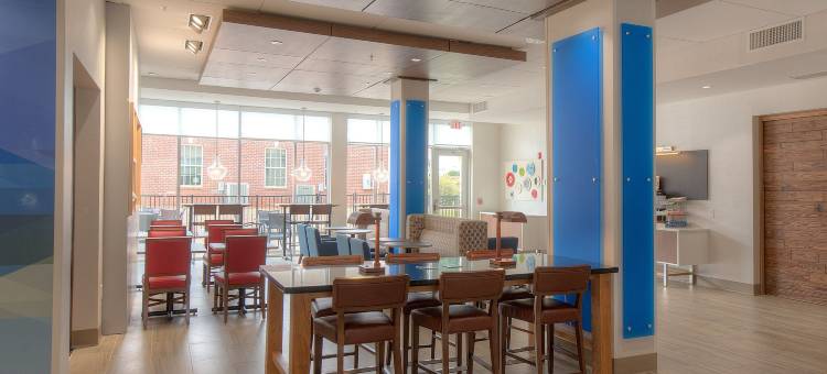米尔堡智选假日套房酒店(Holiday Inn Express & Suites Fort Mill)图片