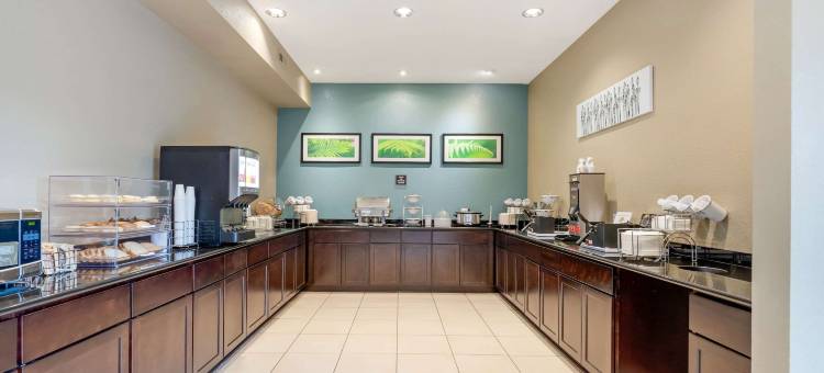 埃姆斯舒眠套房酒店-近ISU校园(Sleep Inn & Suites Ames Near Isu Campus)图片