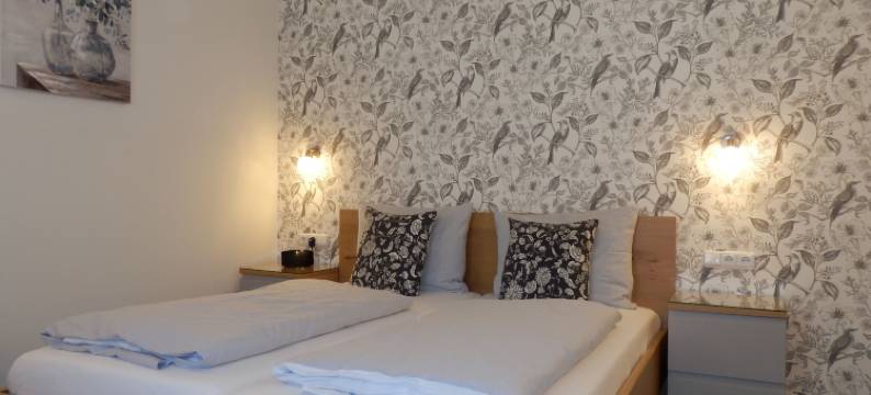 贝尔维尤酒店(Hotel Bellevue)图片