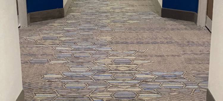 亚特兰大机场大学公园凯隆波因特酒店(Clarion Pointe Atlanta Airport College Park)图片