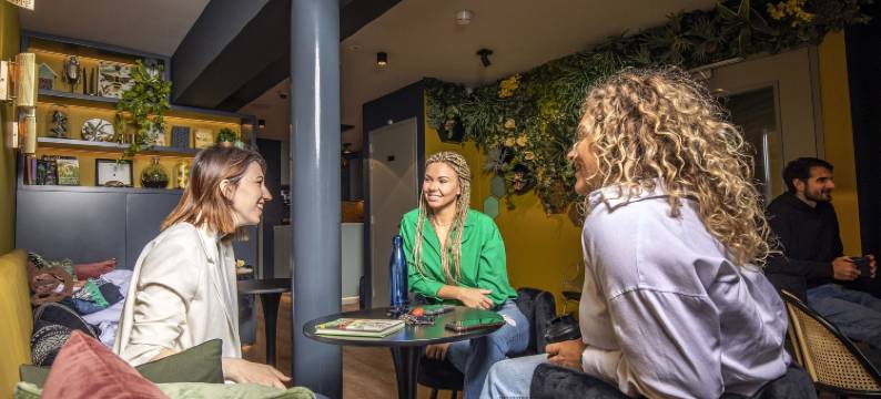 蜜蜂青年旅馆(The Bee Hostel)图片