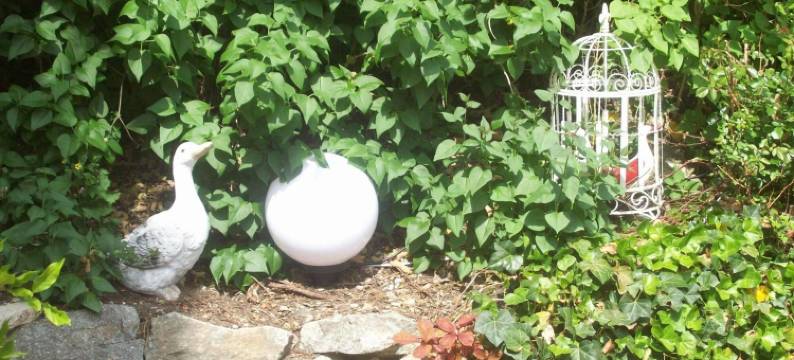 朗代乌斯酒店(Landhaus Krone)图片