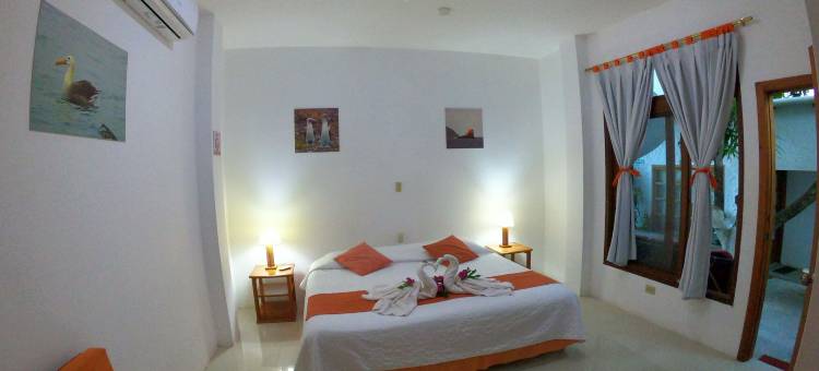 丁托雷拉大青年旅舍(Gran Hostal Tintorera)图片